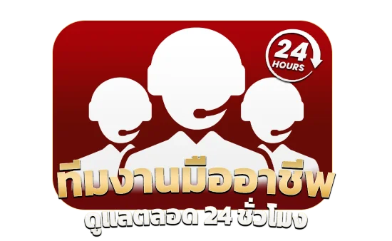 ทีมงานมืออาชีพดูแลตลอด 24 ชั่วโมง