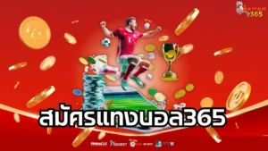 Read more about the article สมัครแทงบอล365 ช่องทางเดิมพันบอลที่มั่นคง ปลอดภัย และจ่ายจริงทุกบิล